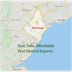 Map of Mississauga Ontario various dead pests cockroach rat bedbug