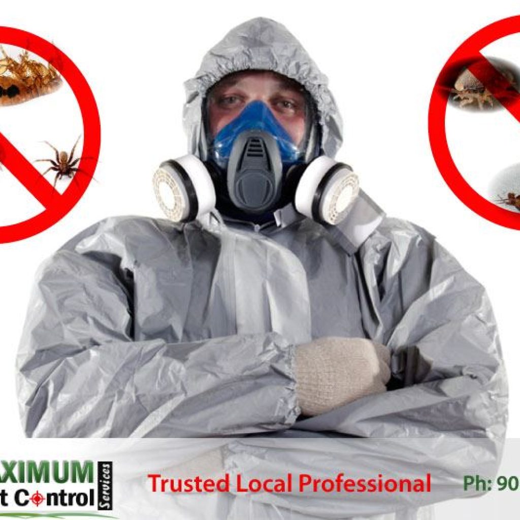 Maximum Pest Control Services professional pest control technician a wearing mask