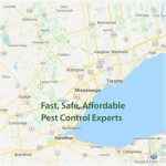 various pests dead and Map of Greater Toronto Area Ontario