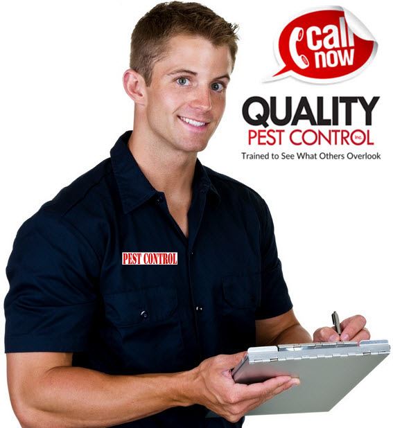 pest control service