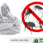 bugs and insects and professional pest control technician