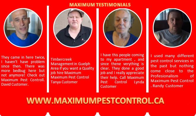 testimonials from customers of Maximum Pest Control Services