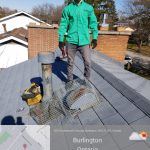 Pest Control Professional on a roof of a property in Burlington Ontario