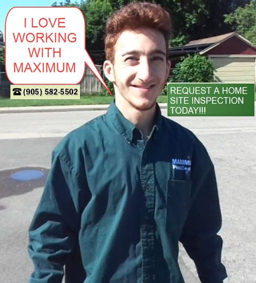 employee of Maximum Pest Control Services Ontario Canada