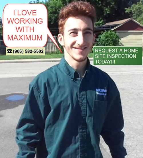 employee of Maximum Pest Control Services Ontario Canada