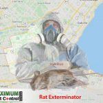 map of Ontario Hamilton and dead rat lying down next to rat exterminator