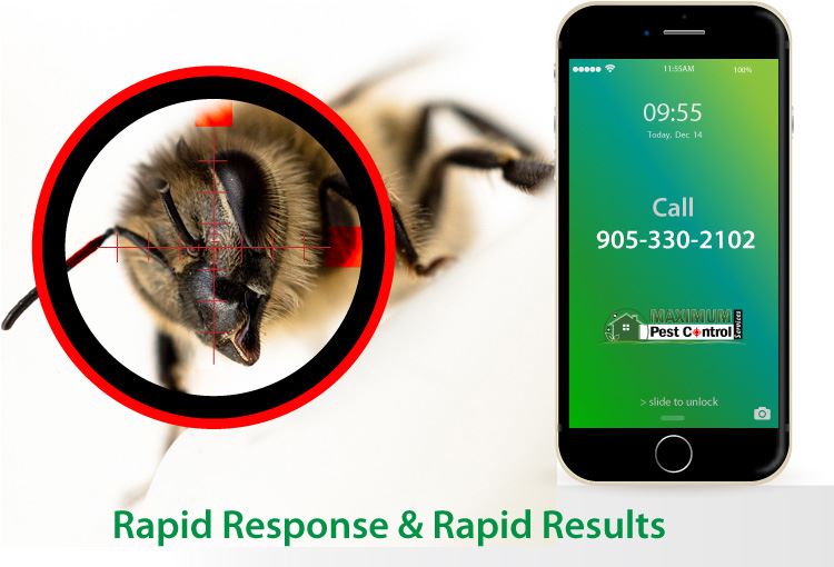 wasp behind sniper target and mobile phone illustration