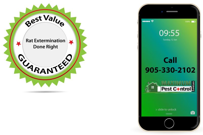 best value guarantee mobile phone illustration