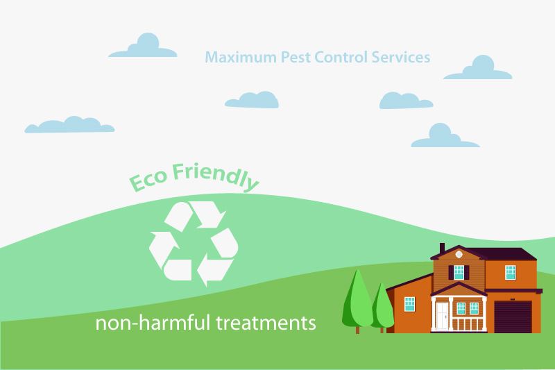 Eco Friendly Non Harmful Treatments