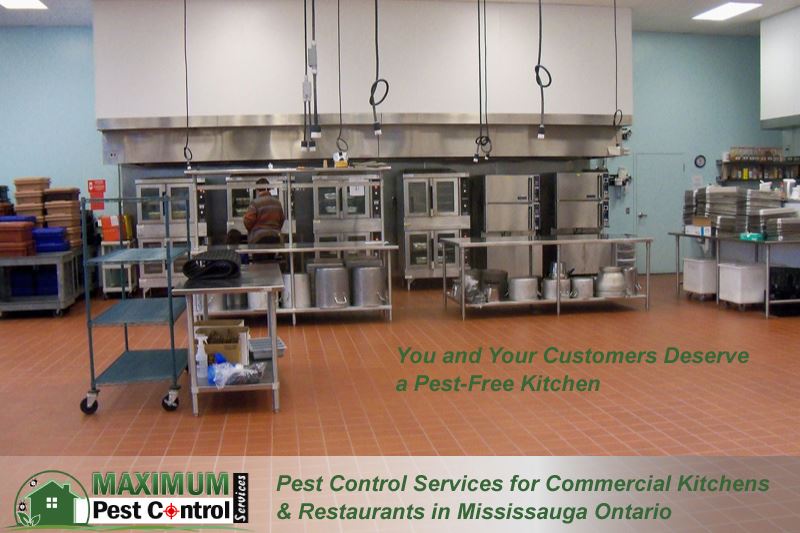 commercial kitchen