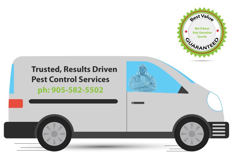 pest control van vehicle illustration and best value guarantee offer