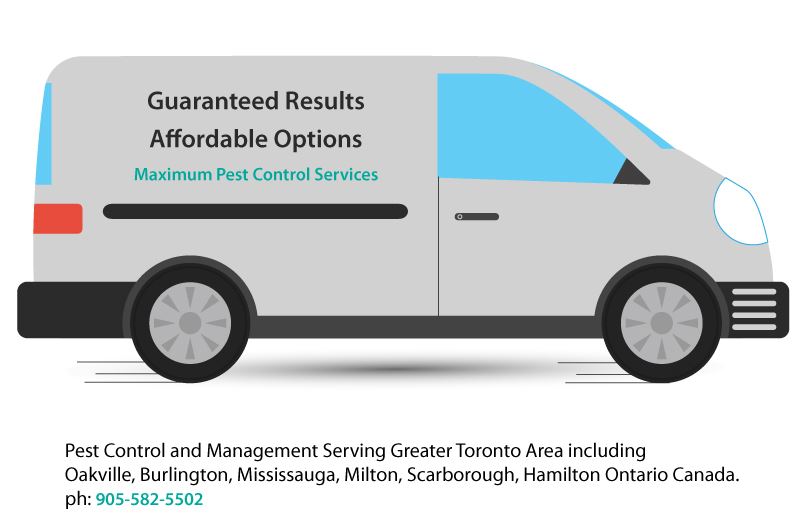 pest control van illustration