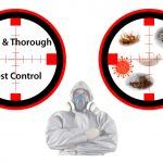 safe and thorough pest control