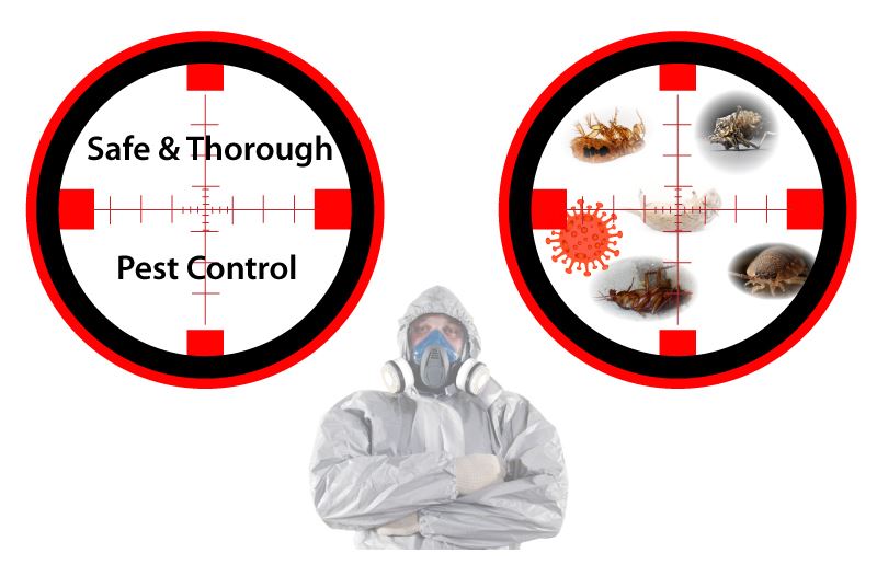 safe and thorough pest control
