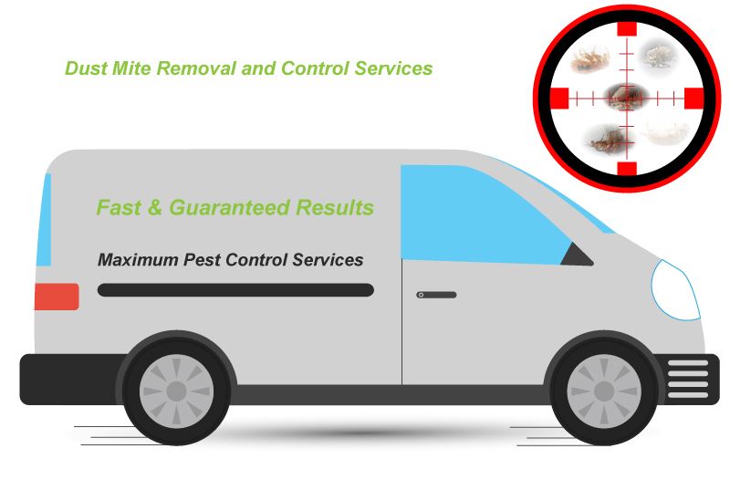 dust mite behind sniper target illustration and a pest management van