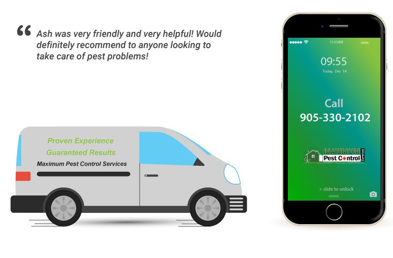 illustration of pest control service van and a mobile phone