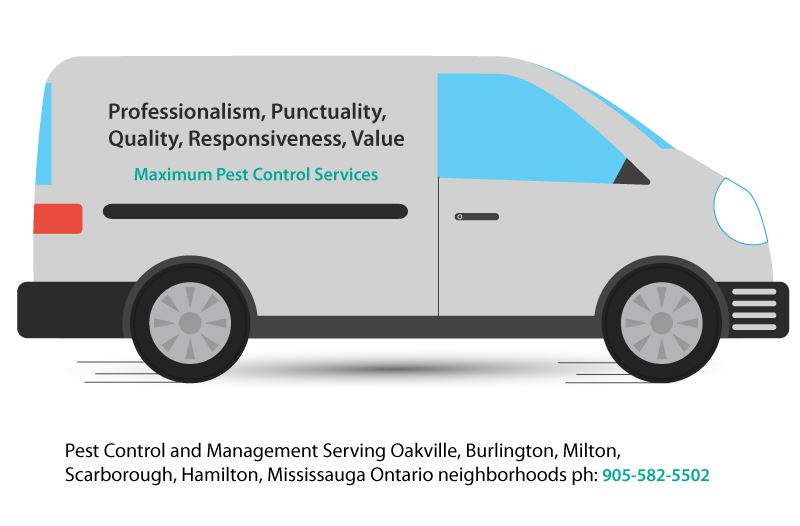 pest control and management vehicle illustration