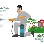 thorough residential pest control