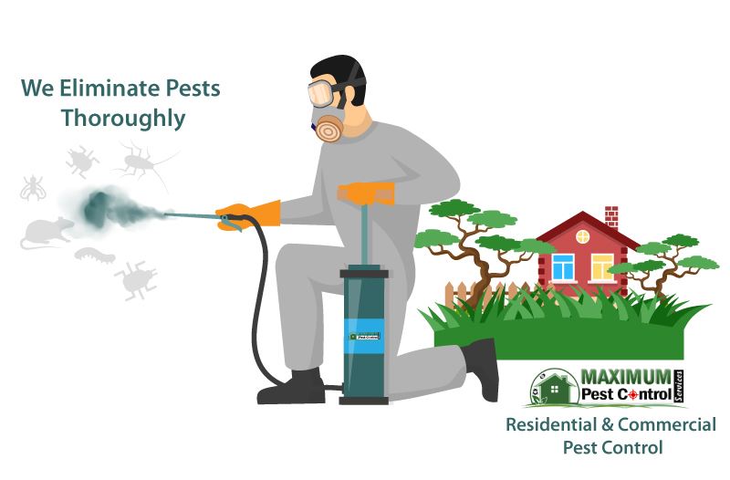 thorough residential pest control