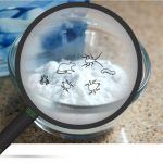 boric acid powder behind an illustration of a magnifying glass