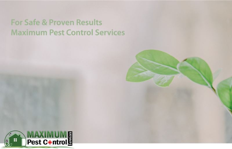 environmentally safe pest control