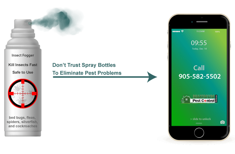 insect fogger bottle and mobile phone illustration
