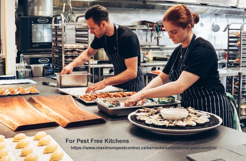 male and a female chef preparing food in commercial kitchen