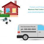 residential pest control technician fumigating pests and a vehicle illustration