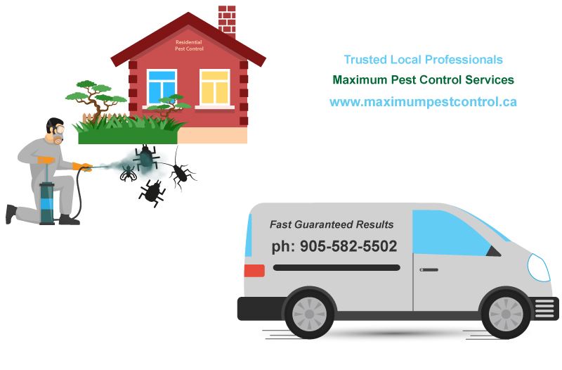 residential pest control technician fumigating pests and a vehicle illustration
