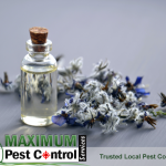 essential plant oil in a small bottle