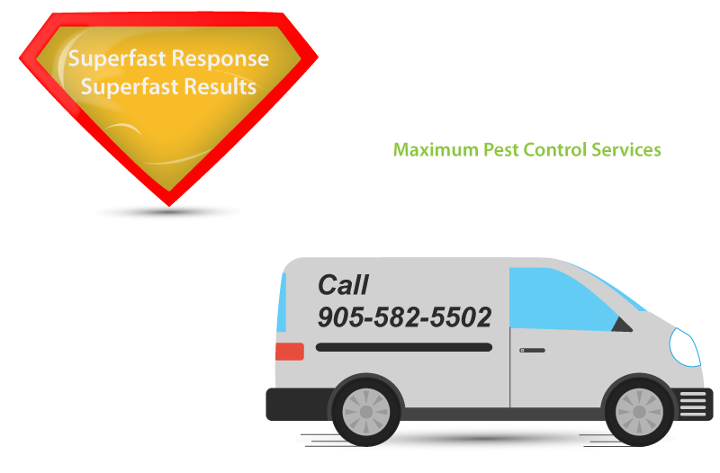 superfast response superfast results pest control van