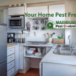 inside a house kitchen includes cabinets fridge and amenities