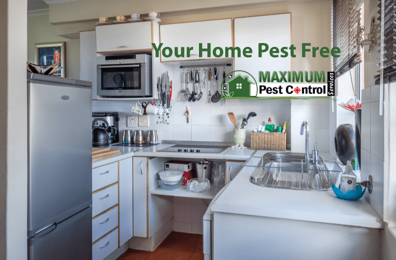 inside a house kitchen includes cabinets fridge and amenities