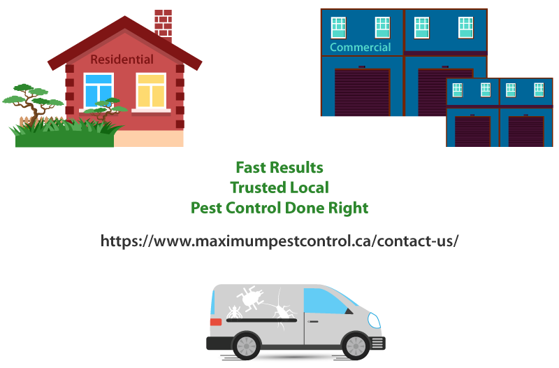 residential commercial trusted local pest control done right