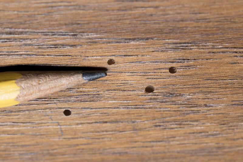 exit holes on wood caused by powder post beetles