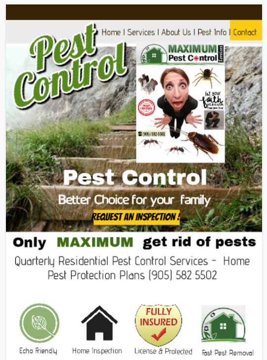 Pest Control Service Near Me