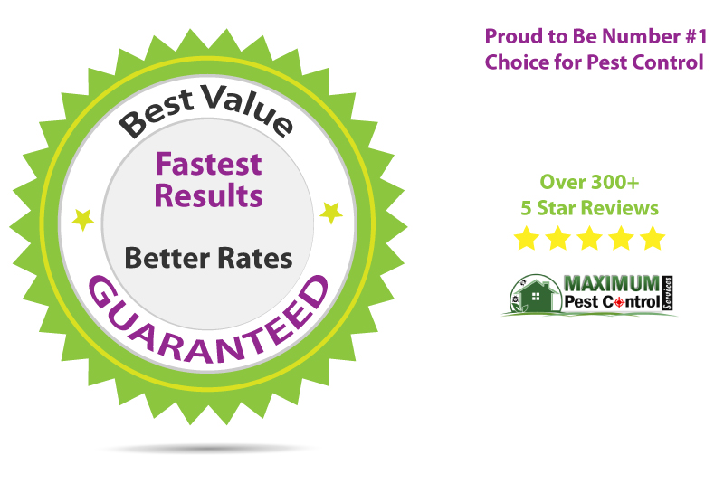 service guarantee and 5 star reviews