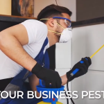 commercial-pest-control