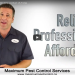 commercial pest control