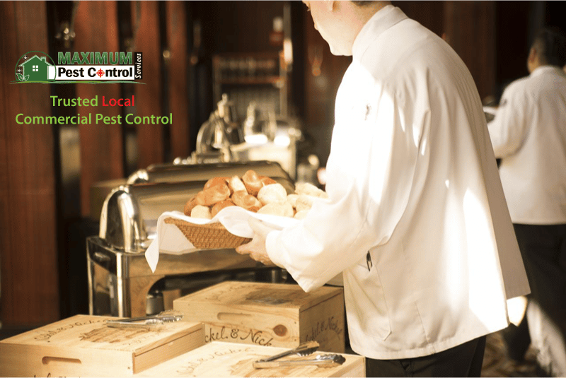 waiter holding bread basket inside a Hamilton Restaurant