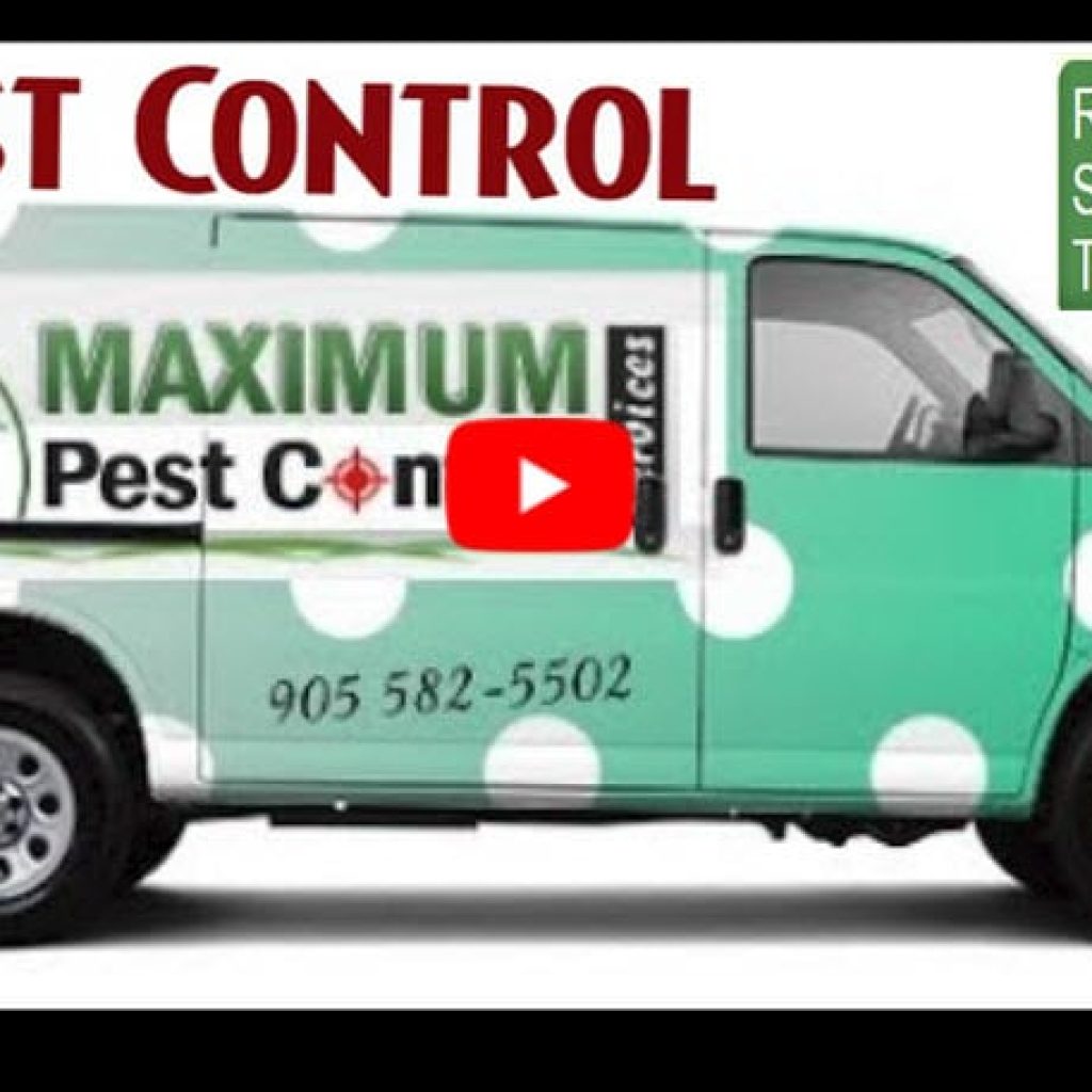 pest control service 905 582 5502