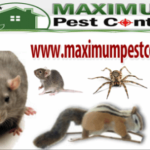 Pest Control Season Package by Maximum