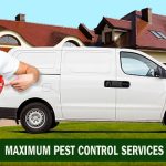 pest control service near me