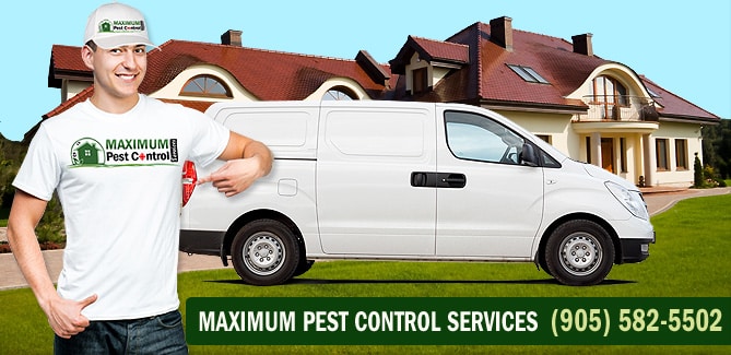 pest control service near me