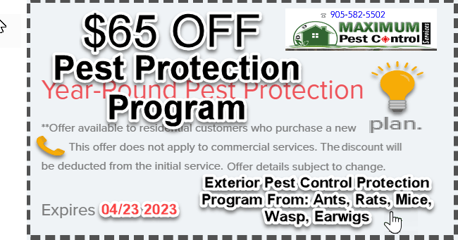 All Seasons Residential Pest Control Program (905) 582-5502