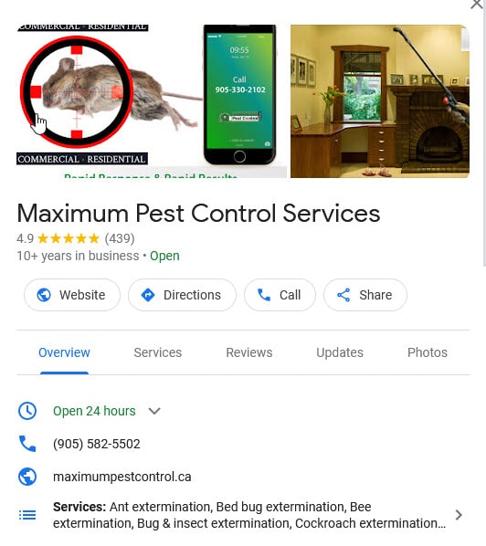 Maximum pest control services Google Map
