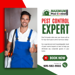 Residential Pest Control Services for mice infestation