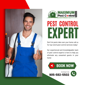 Residential Pest Control Services