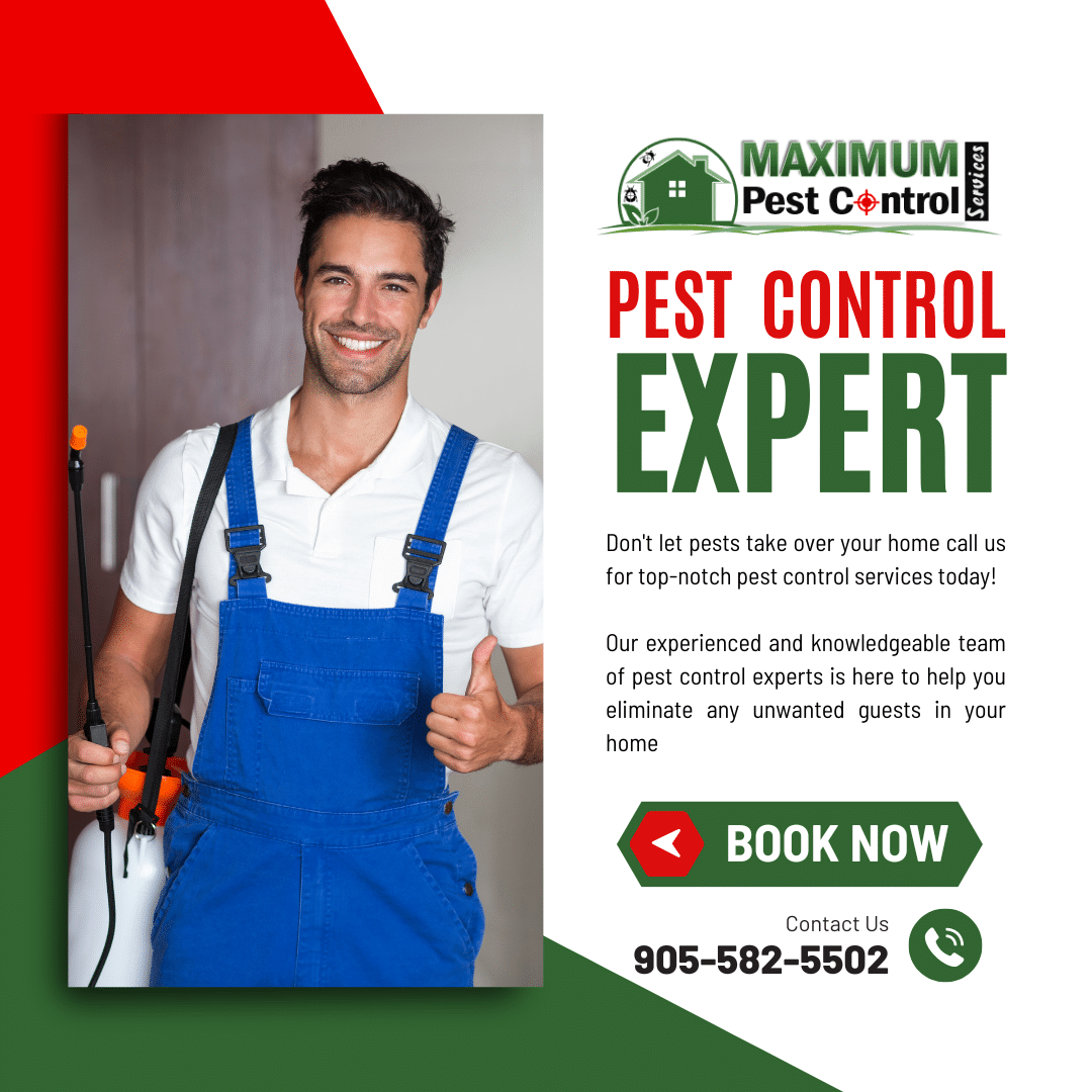 Maximum pest control services (905) 582-5502