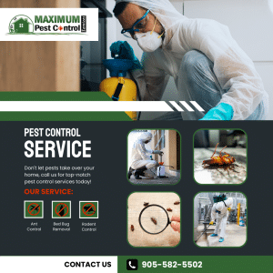Pest Control House Inspection 905 582-5502